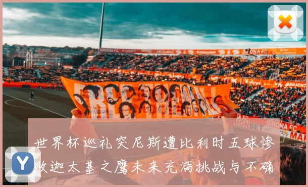 世界杯巡礼突尼斯遭比利时五球惨败迦太基之鹰未来充满挑战与不确定性