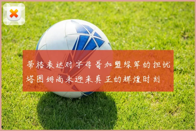 蒂格表达对字母哥加盟绿军的担忧塔图姆尚未迎来真正的辉煌时刻